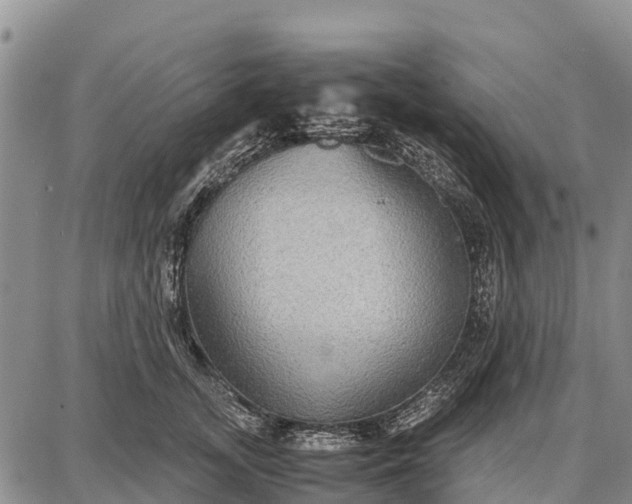 X0000087690755200705181754