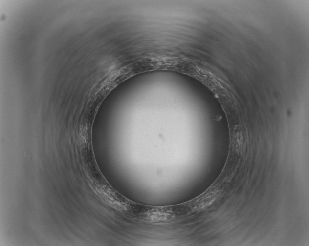 X0000087690756200705181754