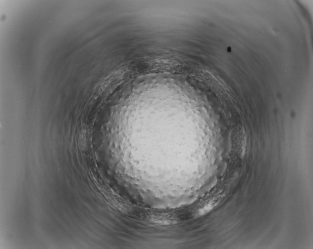 X0000087690757200705181754