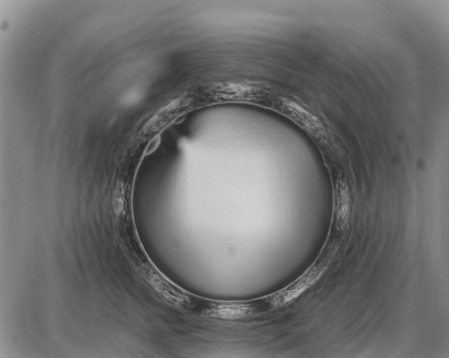 X0000087690758200705181754