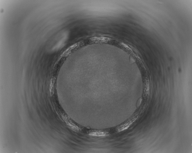 X0000087690759200705181754