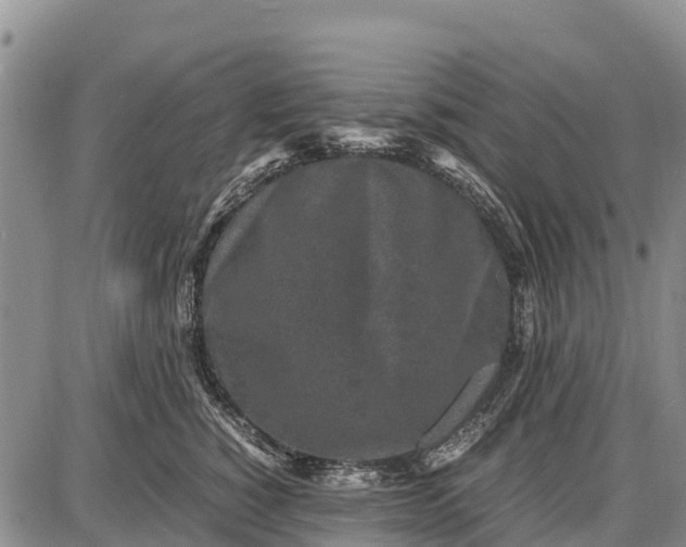 X0000087690760200705181754