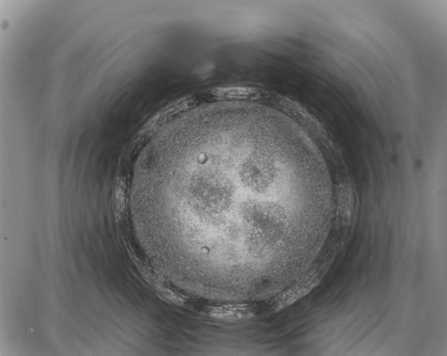 X0000087690761200705181754