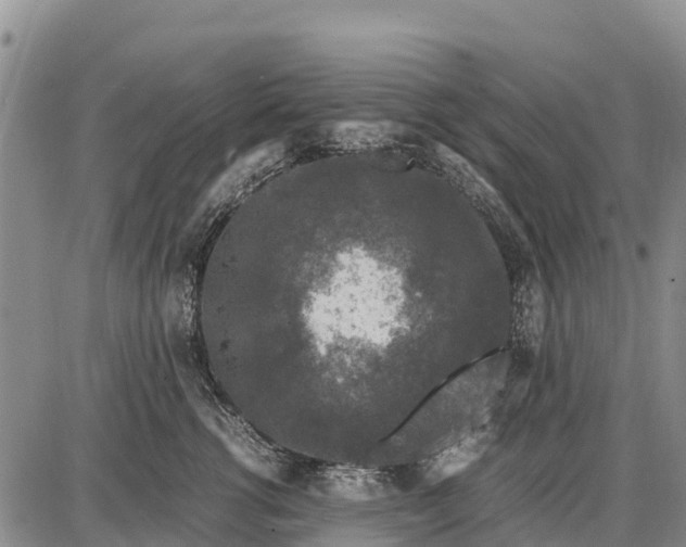 X0000087690762200705181754