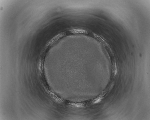 X0000087690763200705181754