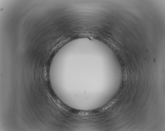 X0000087690764200705181754