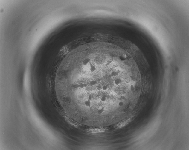 X0000087690765200705181754