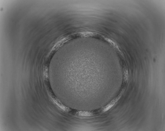 X0000087690766200705181754