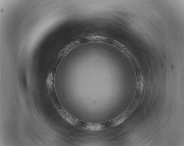 X0000087690767200705181754