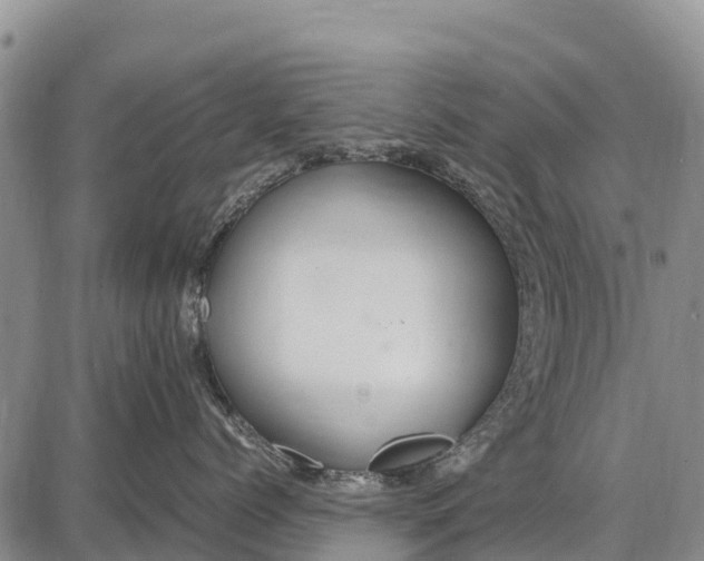 X0000087690768200705181754