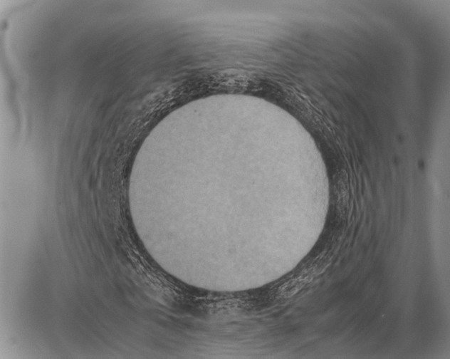 X0000087690769200705181754