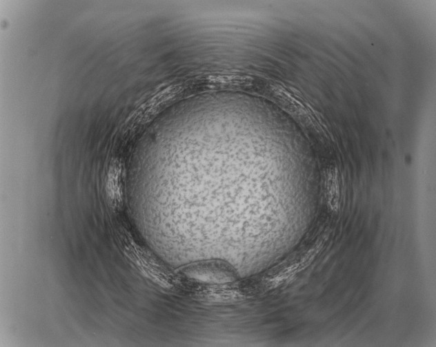 X0000087690770200705181754