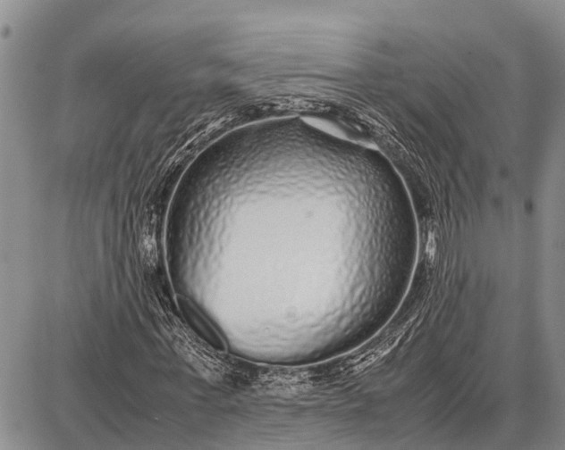 X0000087690771200705181754