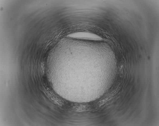 X0000087690772200705181754