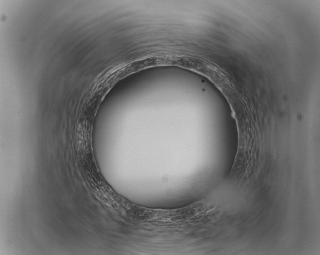 X0000087690773200705181754