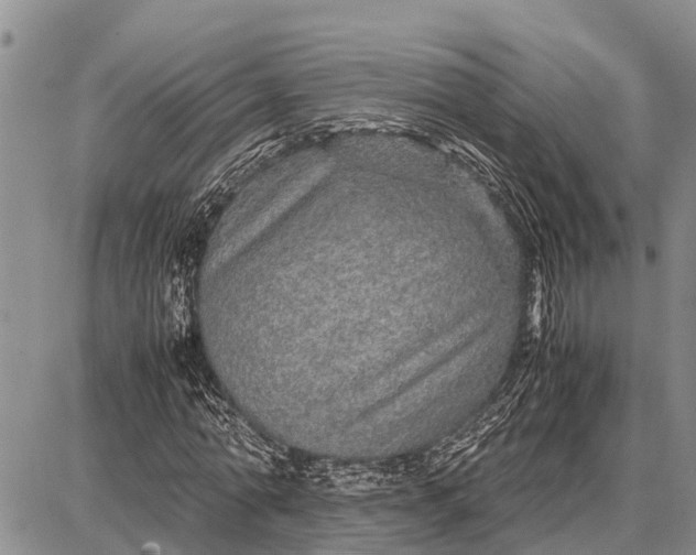 X0000087690774200705181754