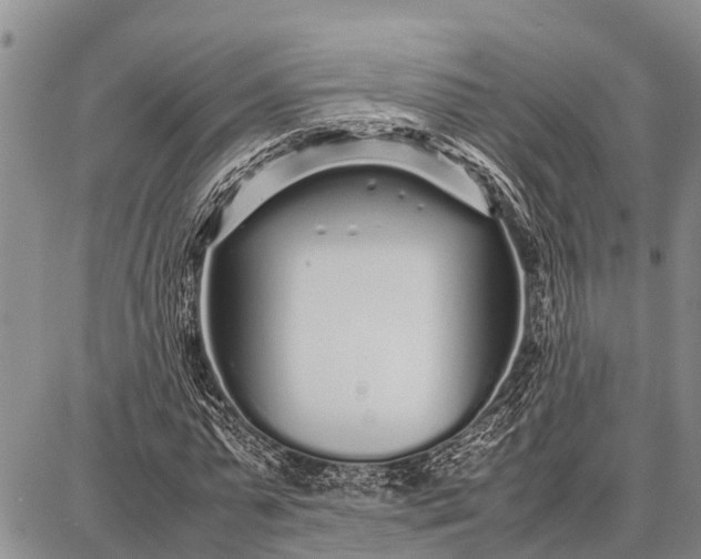 X0000087690775200705181754