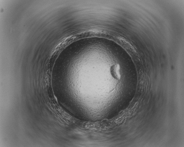 X0000087690776200705181754