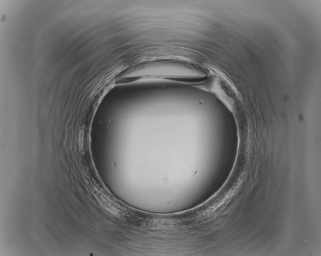 X0000087690777200705181754