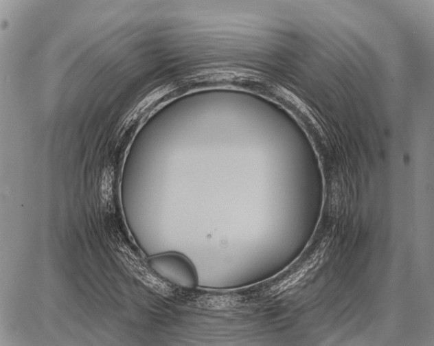 X0000087690778200705181754