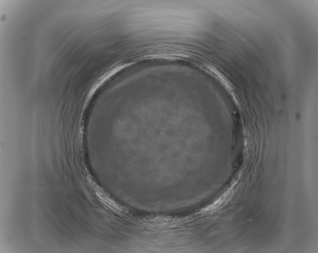 X0000087690779200705181753