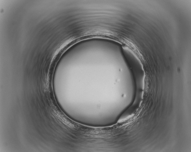 X0000087690780200705181753