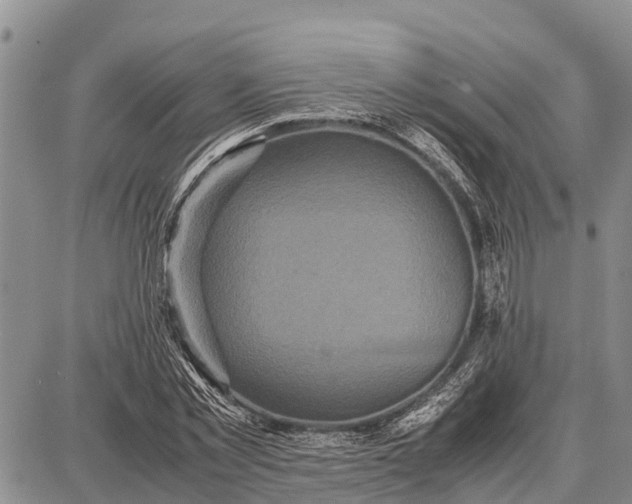 X0000087690781200705181753