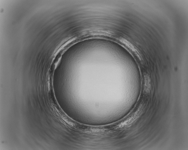 X0000087690782200705181753