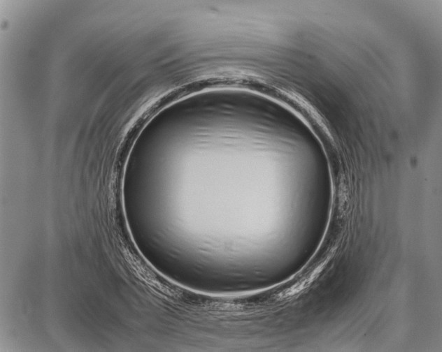 X0000087690783200705181753