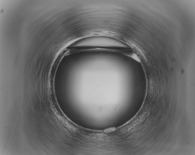 X0000087690784200705181753