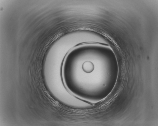 X0000087690785200705181753