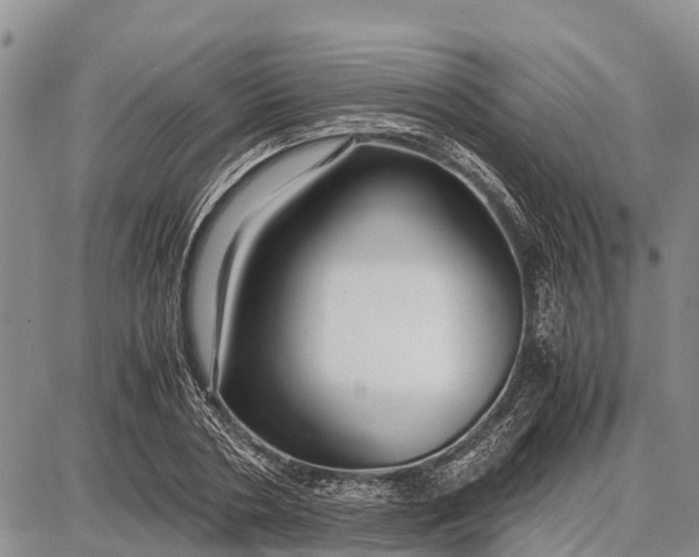 X0000087690786200705181753