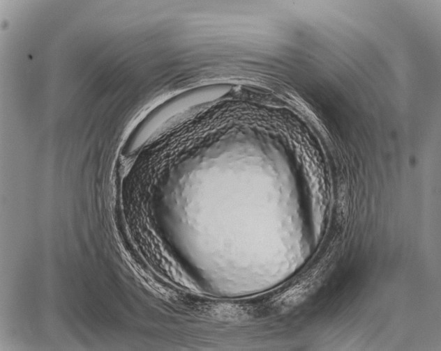 X0000087690787200705181753