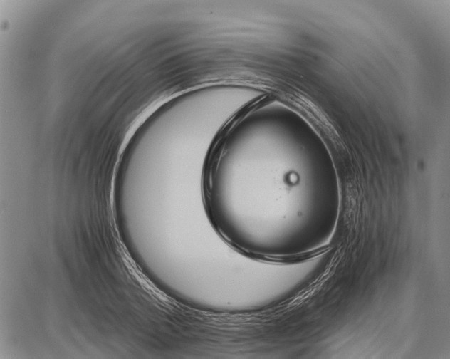 X0000087690788200705181753