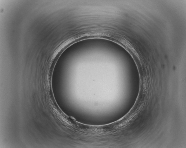 X0000087690789200705181753