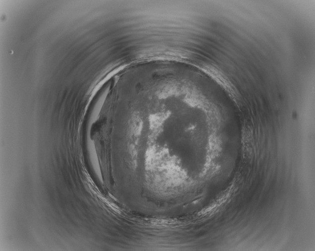 X0000087690790200705181753