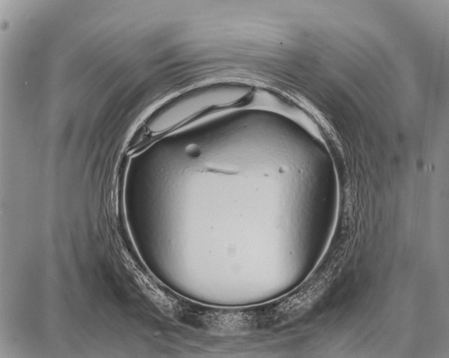 X0000087690791200705181753