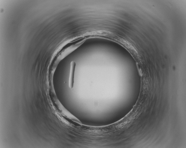 X0000087690792200705181753