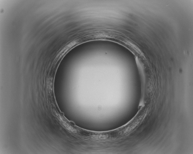 X0000087690793200705181753