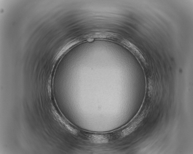 X0000087690794200705181753