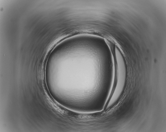 X0000087690795200705181753