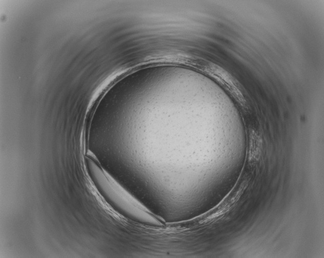 X0000087690796200705181753