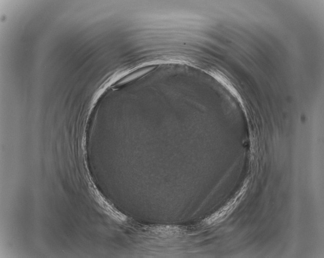 X0000087690797200705181753