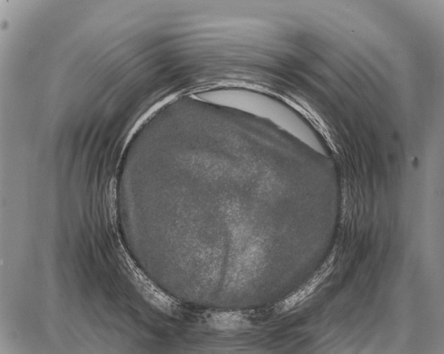 X0000087690798200705181753