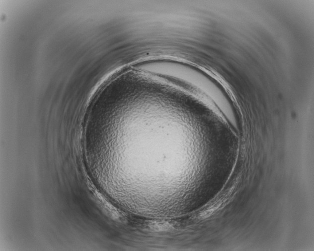 X0000087690799200705181753