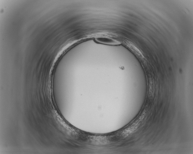 X0000087690800200705181753