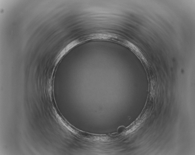 X0000087690802200705181753