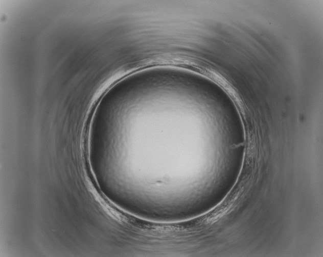 X0000087690803200705181753