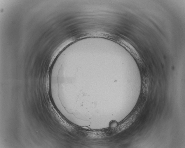 X0000087690804200705181753