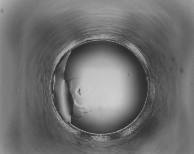 X0000087690805200705181753